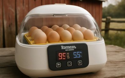 Top Tips for Choosing Reliable Egg Incubators at Tractor Supply