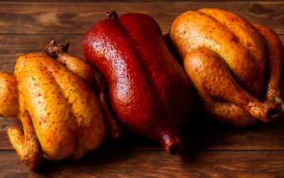 3 Examples of Poultry You Need to Know for a Healthy Diet