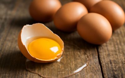 Are Poultry Eggs Healthy? Discover the Truth About Their Nutritional Benefits and Health Impact