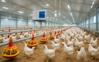 Unleashing poultry tech: smarter cages, healthier flocks, bigger profits