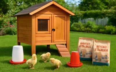 Elevate your backyard with a poultry kit for fresh eggs and thriving flocks